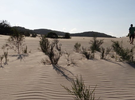 dune system 1